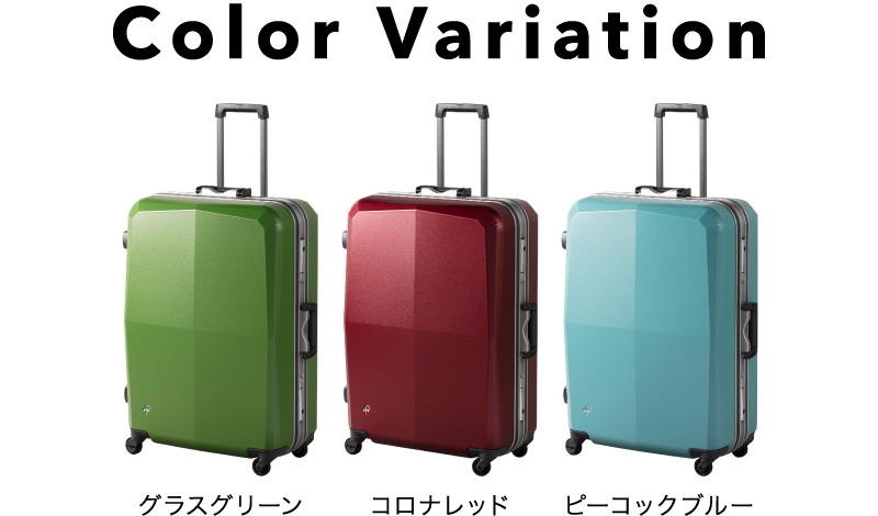 カラーバリエーション
