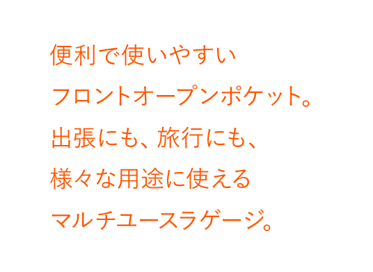 プロテカ ポケットライナー2
