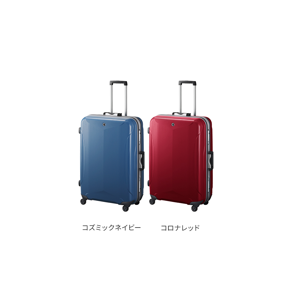 プロテカ エキノックスライトα Mサイズ 14日間 0481414