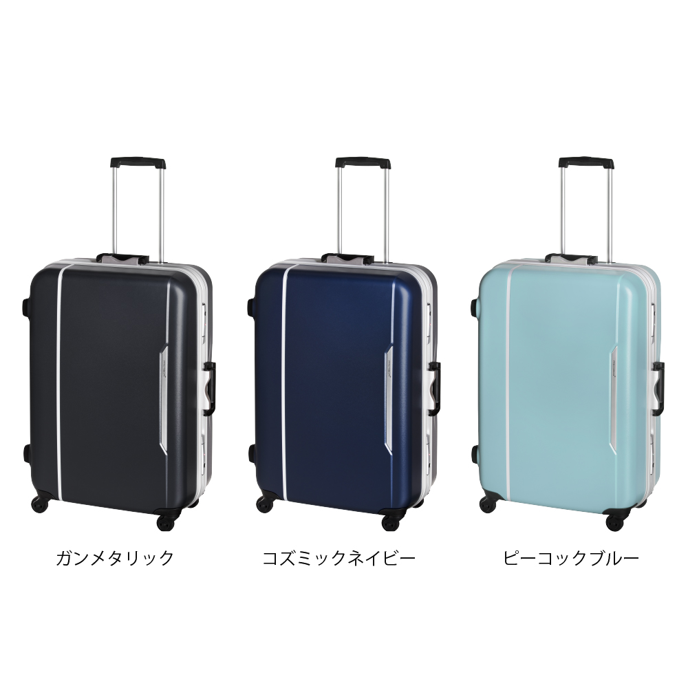 プロテカ レクト Lサイズ 5日間 0491305