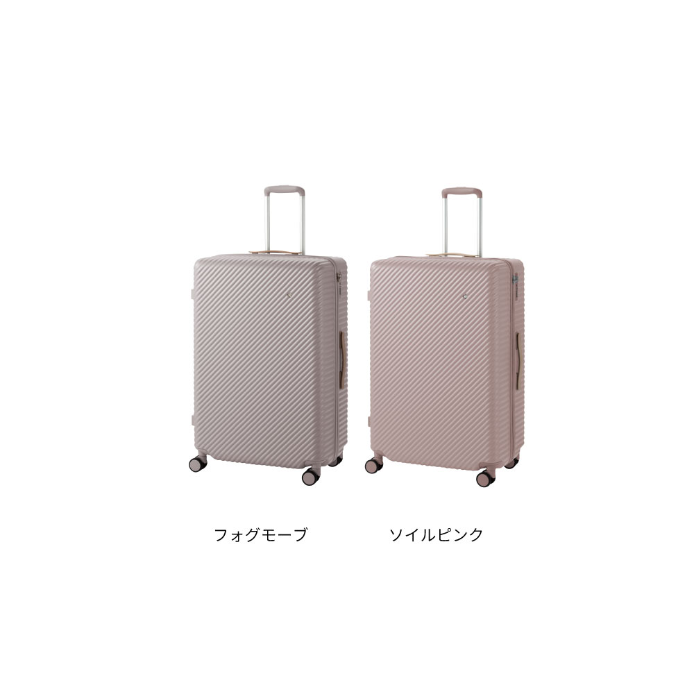 ハント ココント Lサイズ 10日間 0551610